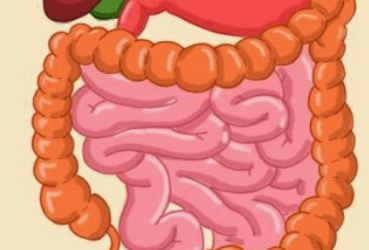 hypochlorhydrie et colopathie, Hypochlorhydrie Aliments à Éviter