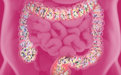 probiotique flore intestinale