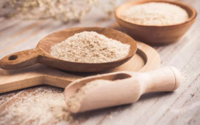 psyllium blond en poudre
